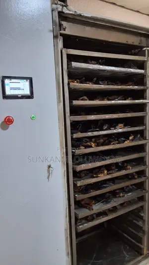 Smoke-Free Dried Catfish