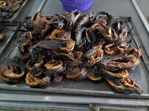 Smoke-Free Dried Catfish