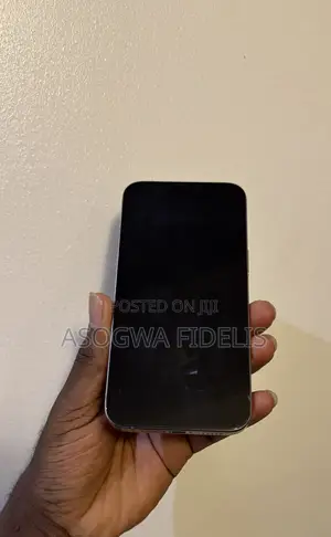 Apple iPhone 15 Pro Max 512 GB Silver