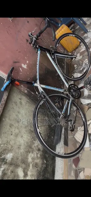 Professional Road Bike