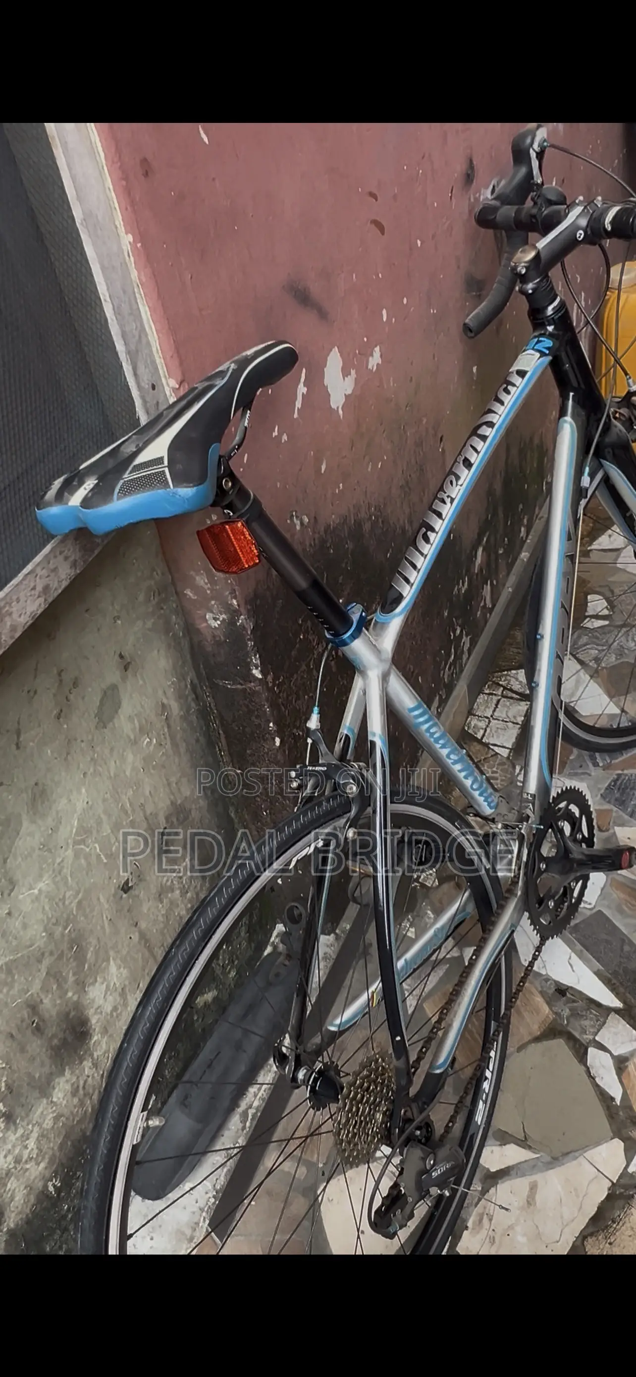Professional Road Bike