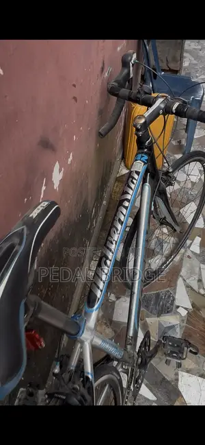 Professional Road Bike