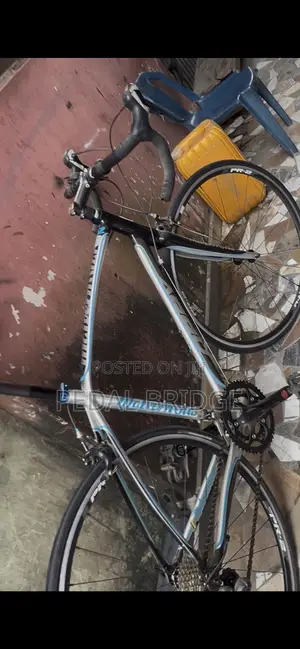 Professional Road Bike