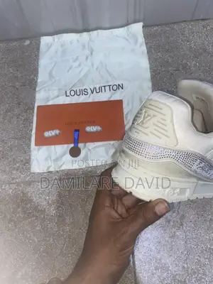 Louis Vuitton Snickers