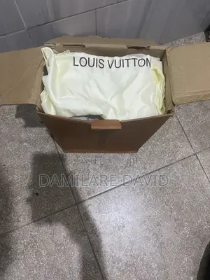 Louis Vuitton Snickers