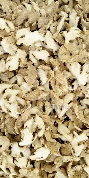 We Have Avocado,custard Apple, Ginger, Peppers, Processing Cashew Nut