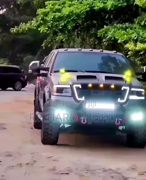 Ford F-150 2019 Gray