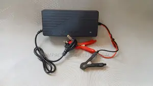 48V 5A (58.4V) Smart Lifepo4 Intelligent Battery Charger
