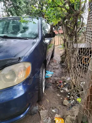 Toyota Corolla 2004 Blue