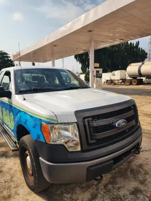 Ford F-150 2015 White
