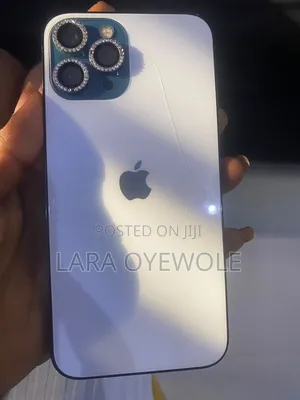 Apple iPhone 12 Pro Max 256 GB Gray