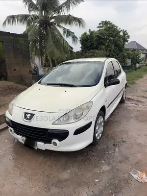 Peugeot 307 1.6 Grand Filou Cool 2008 White