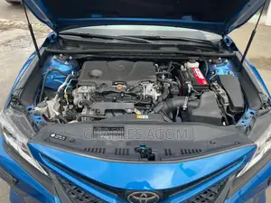 Toyota Camry L (2.5L 4cyl 8A) 2019 Blue