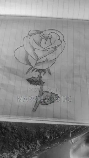 Hand-Drawn Pencil Rose Artwork