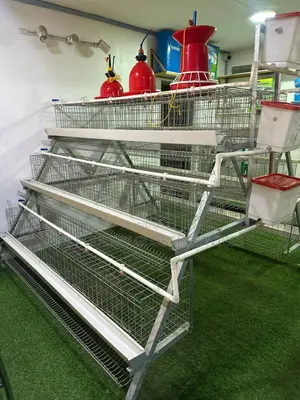 Hot Galvanized Layers Cage