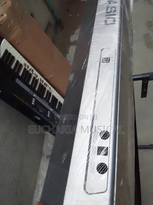 Casio CTK-800 61-Key Electronic Keyboard – UK Used