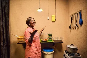 Sunking HomePlus Pro
Solar Home System
