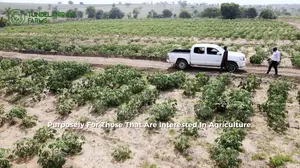 Farm Lands for Sale With Farm Management Services