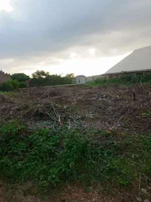 Land for Sale at Idi Obi Ido Road.