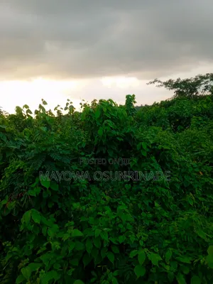 Land for Sale at Idi Obi Ido Road.