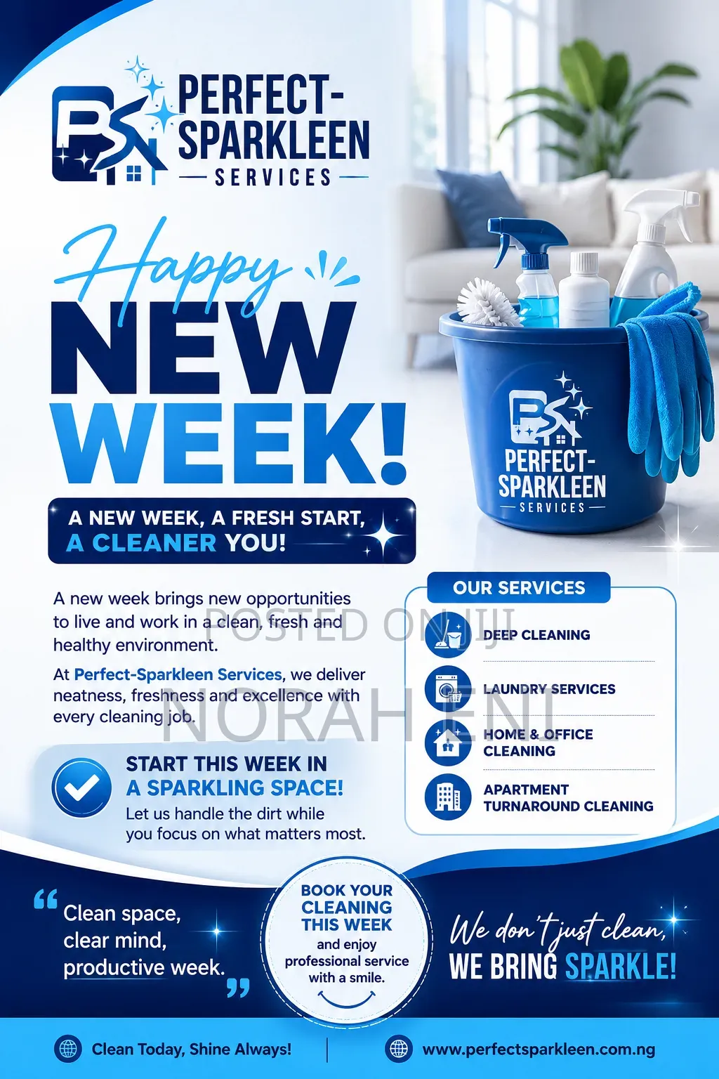 Perfect-Sparkleen Services