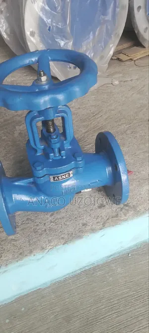 DN 65 P16 Globe Valve