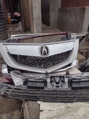 Front Grille Acura MDX 2010 Model