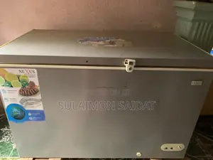 Very Big Nexus Inverter Chest Freezer 400L