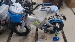 Toddler Bicycle