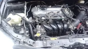Toyota Corolla 2010 Blue
