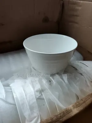 A 1ct of White Bowl 60pcs