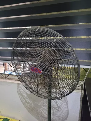 Ox Standing Fan