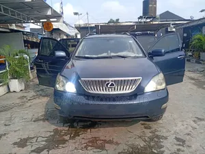 Lexus RX 2008 Gray