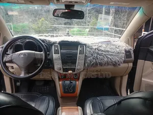 Lexus RX 2008 Gray