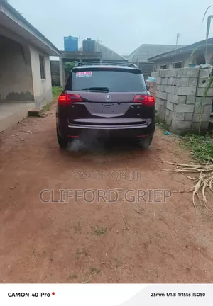 Acura MDX 2009 Burgundy