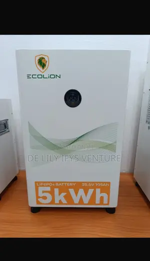 Ecolion 5kwh /24v