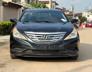 Hyundai Sonata 2014 Blue