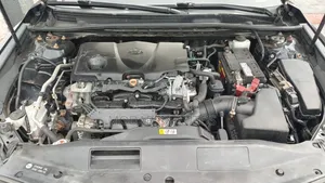 Toyota Camry SE (2.5L 4cyl 8A) 2019 Black