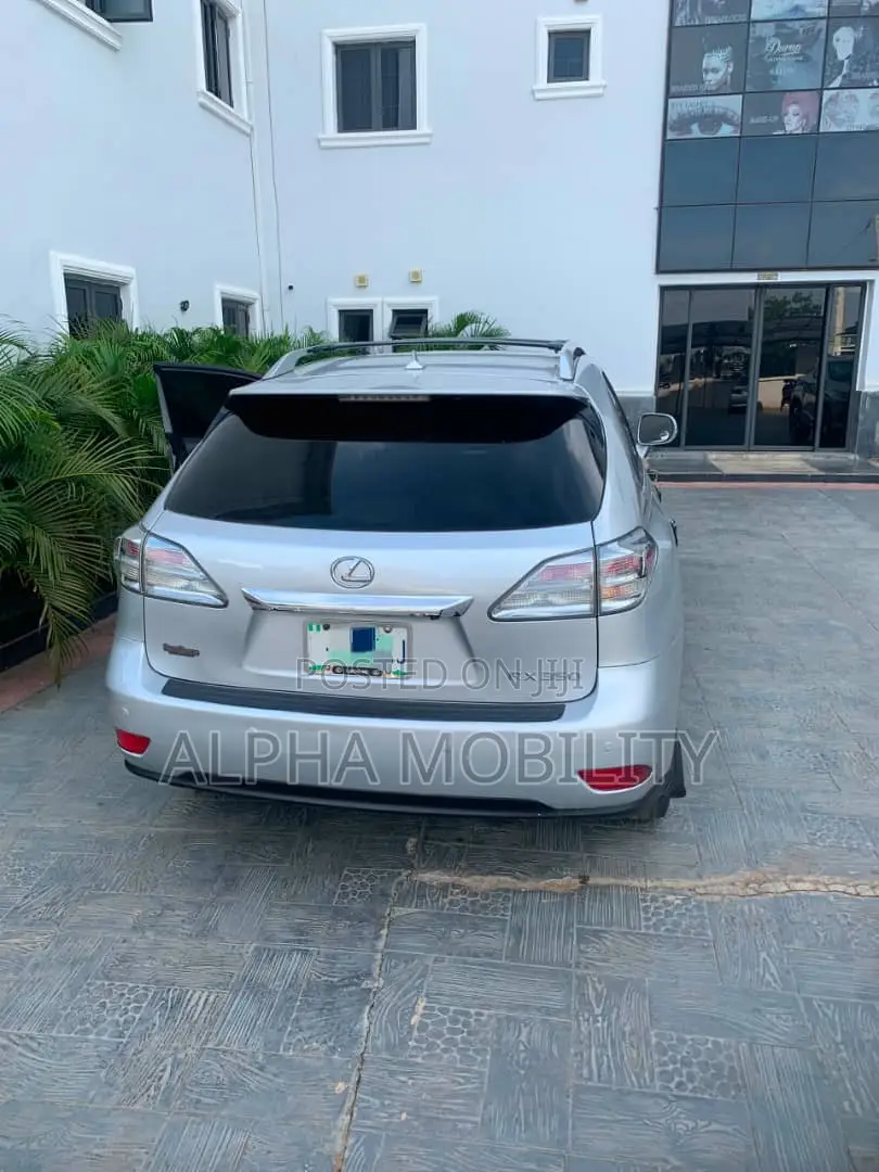 Lexus RX 2011 Silver