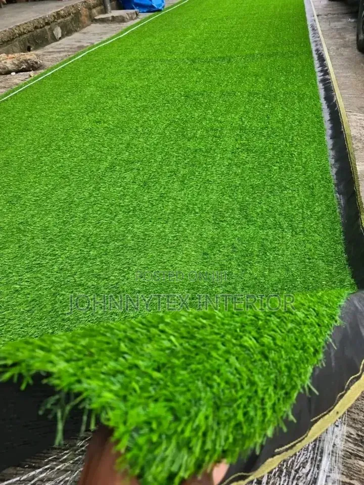 Green Carpet Grass