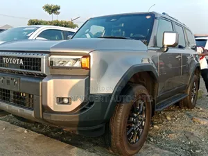 Toyota Land Cruiser 2024 Gray