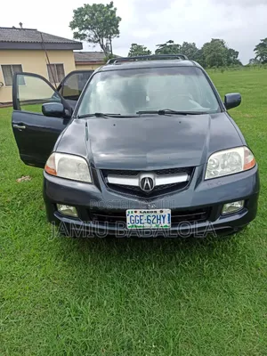 Acura MDX Touring 4dr SUV AWD (3.5L 6cyl 5A) 2006 Gray