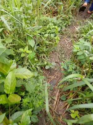 One Acre of Land Along Lagos Ibadan Expressway