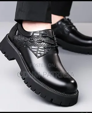 Luxury Laced Shoes