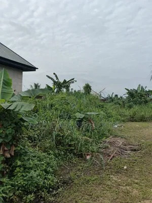 Plots of Land for Sale