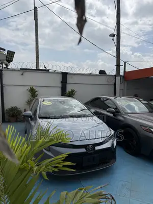 Toyota Corolla LE 2020 Gray