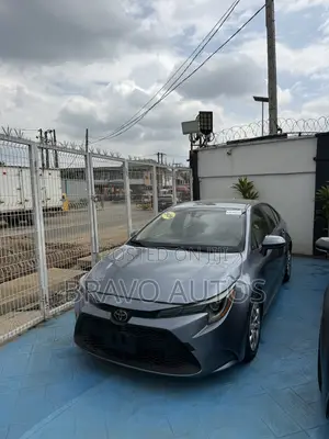 Toyota Corolla LE 2020 Gray