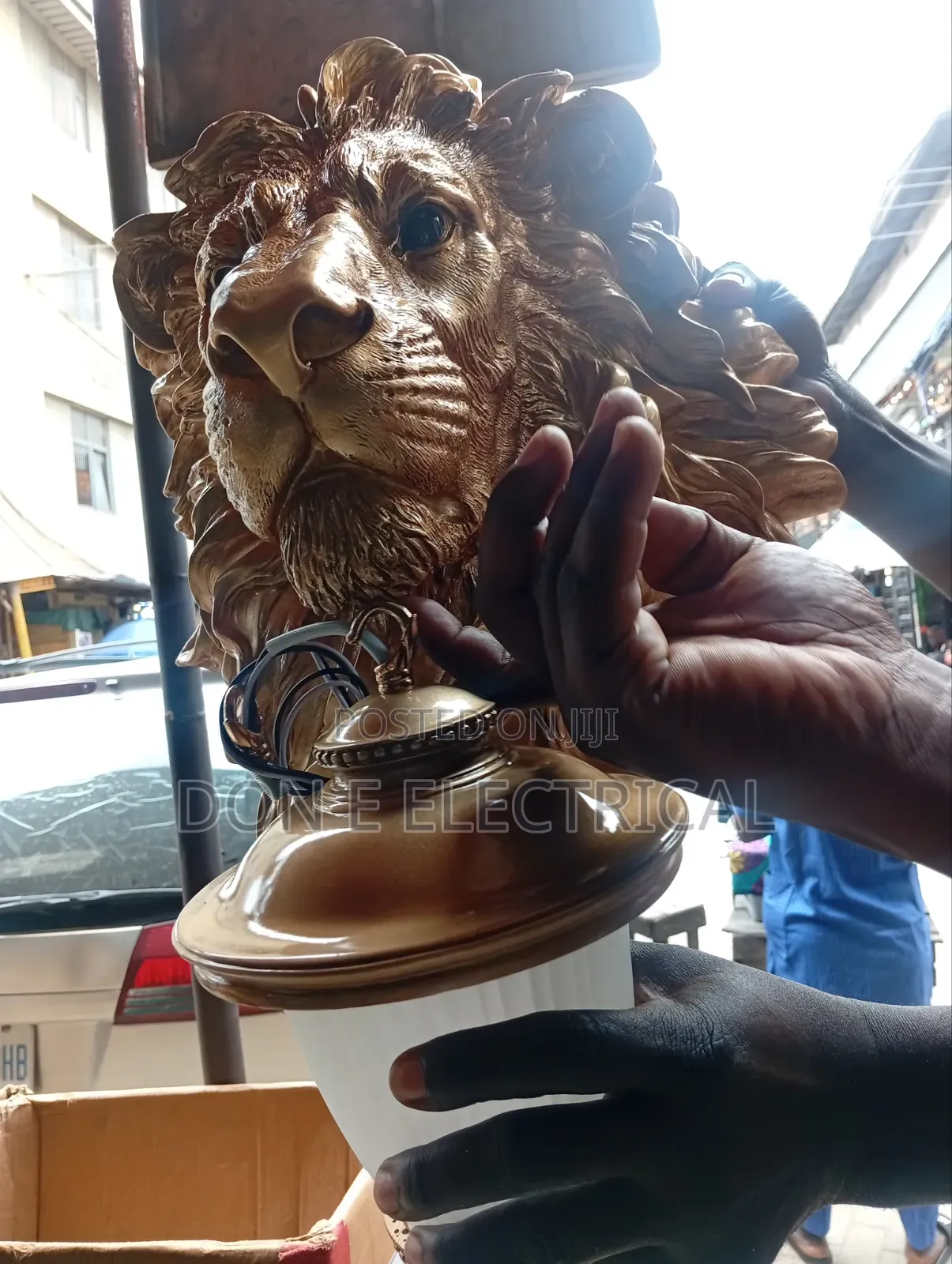 Lion Gate Outdoor Lights