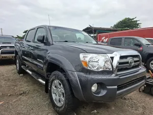 Toyota Tacoma 2010 Gray