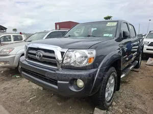 Toyota Tacoma 2010 Gray
